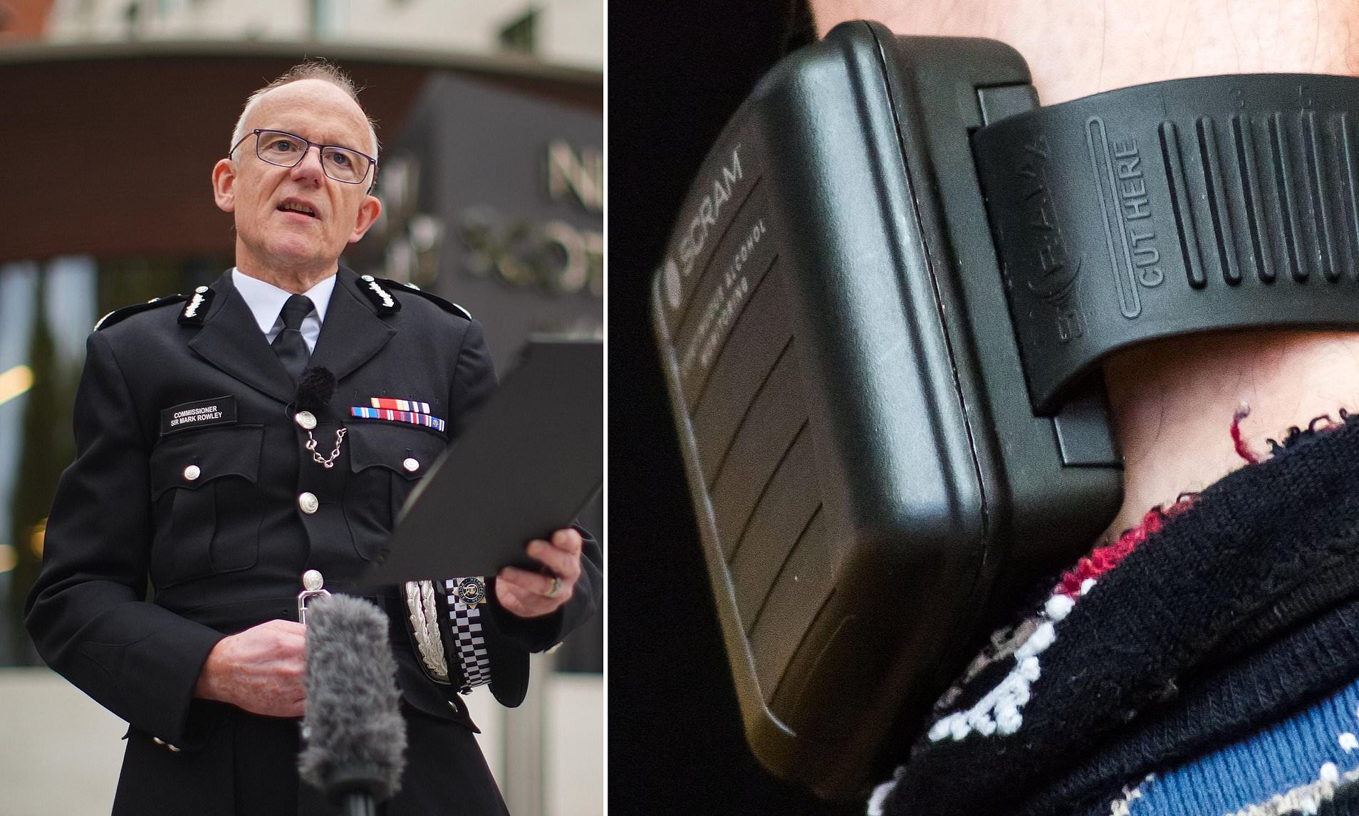 Electronic tag alerts sent by email are 'too slow' to protect domestic abuse victims, warn experts