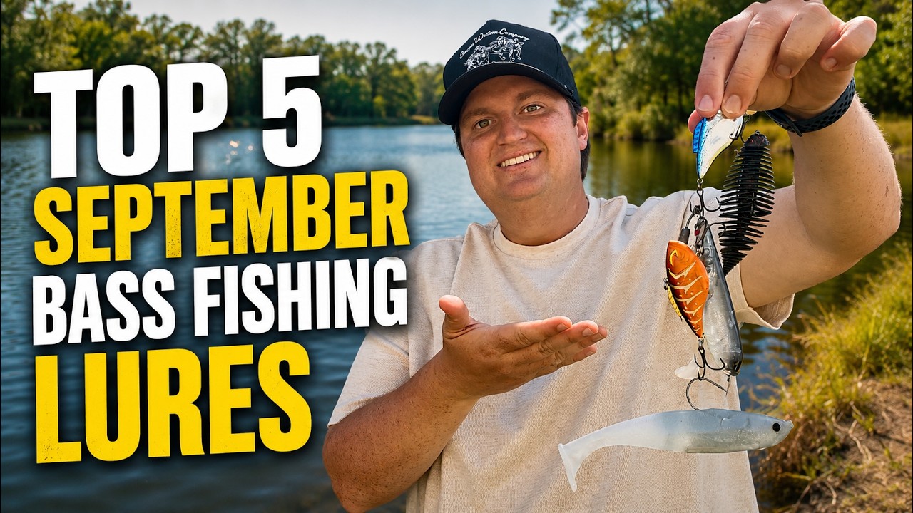 The best lures for September bass fishing in Texas and the South
