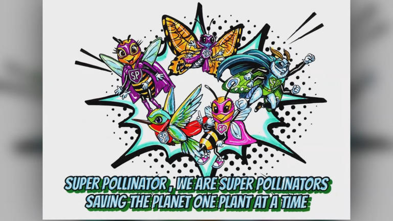 Bay St. Louis couple releases children’s book on ‘The Super Pollinators’