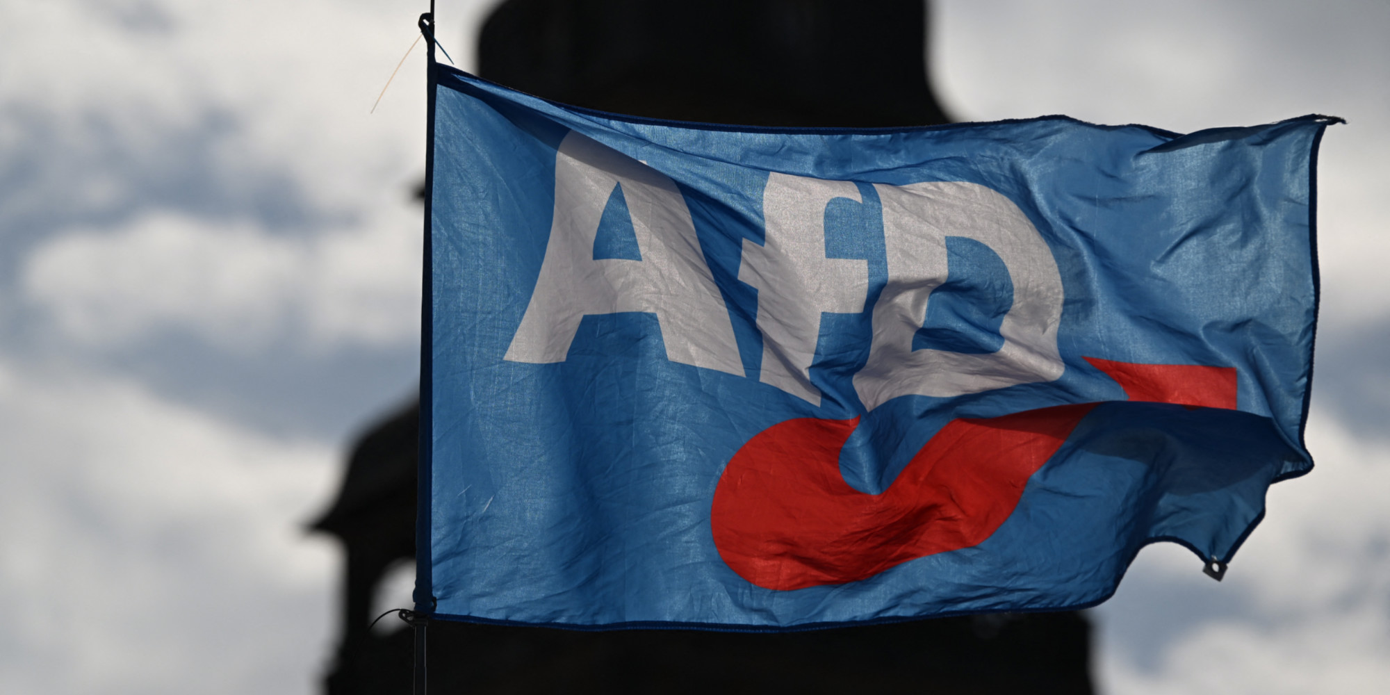 pourquoi-le-rassemblement-national-a-rompu-avec-l-afd-son-ancien-alli