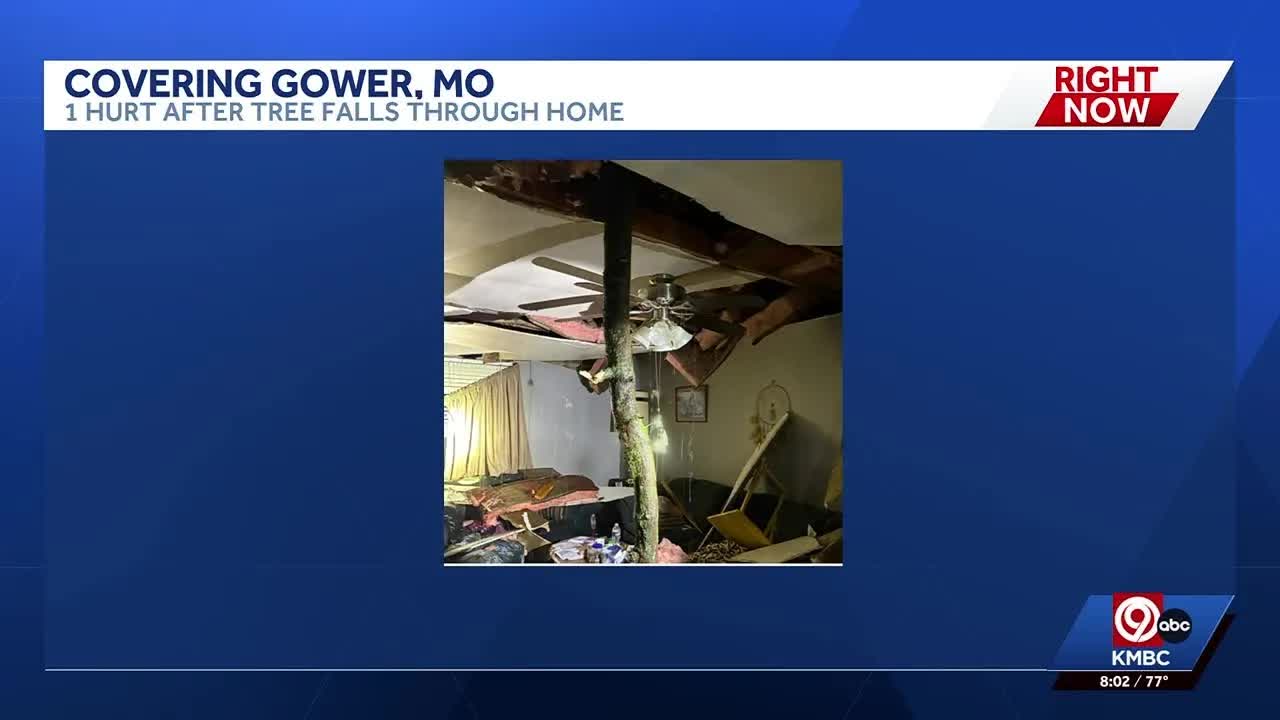 1 hurt after tree falls through Gower, Missouri, home