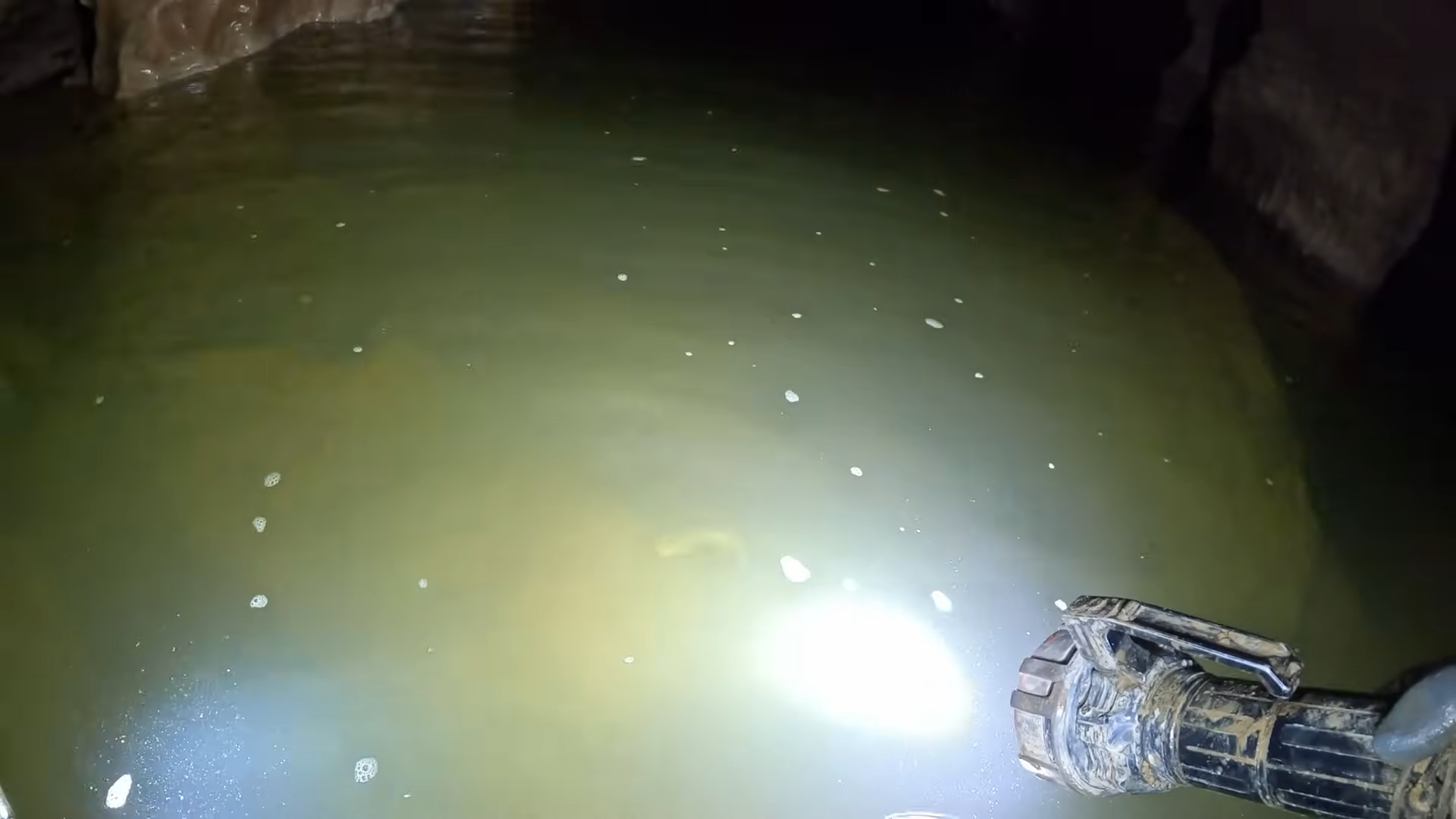 Nobody expected a massive albino fish this far underground - then it ...