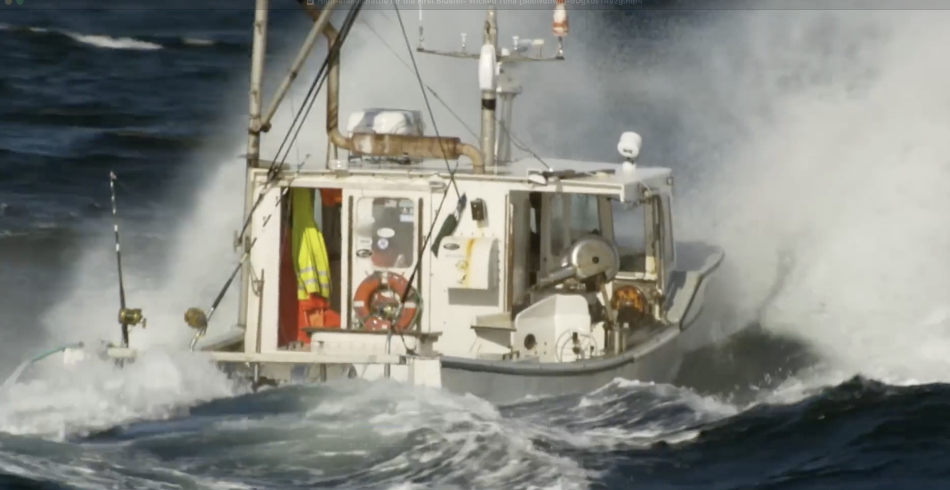 The race for the first bluefin is on