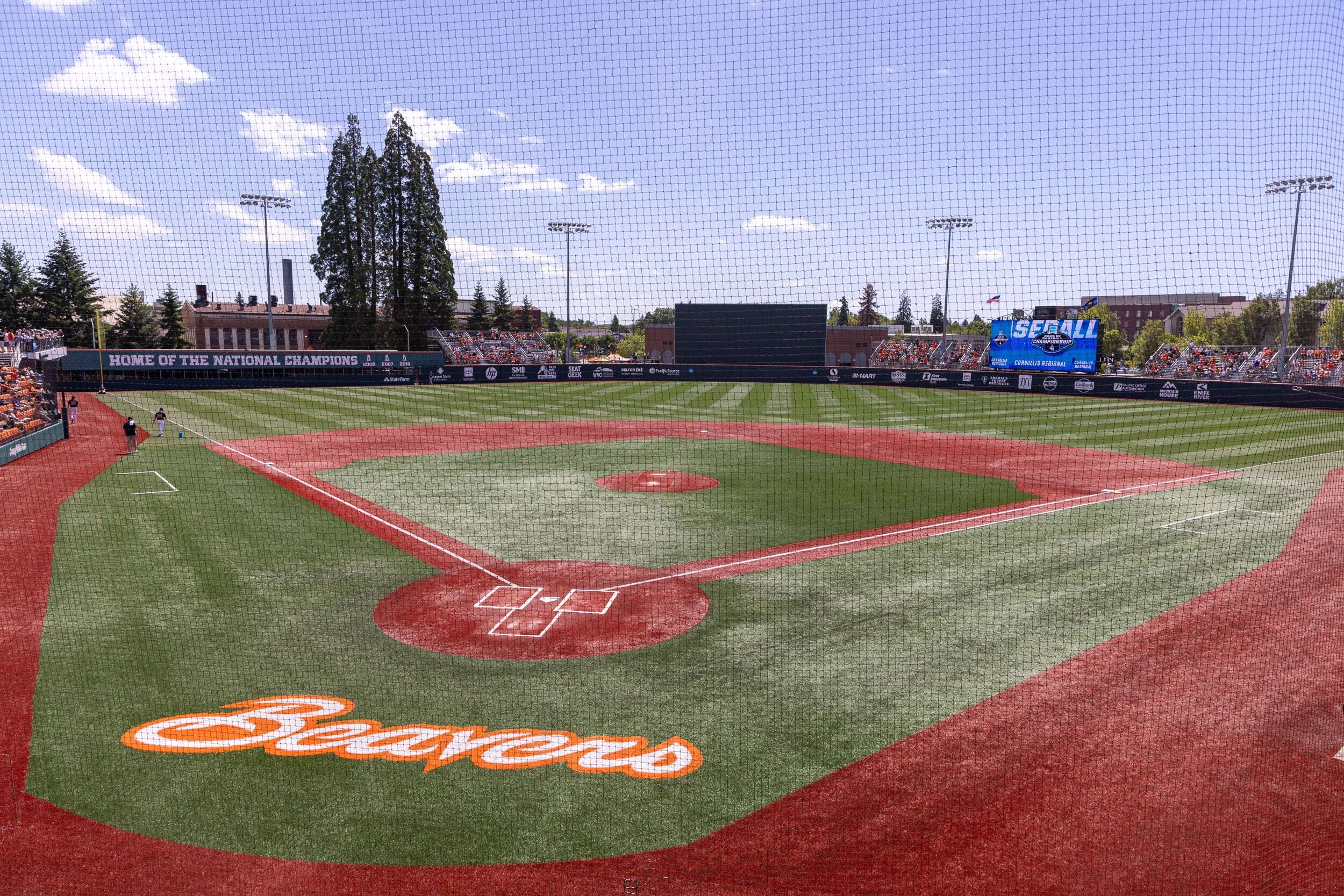 Oregon State secures endowment for baseball operations director role