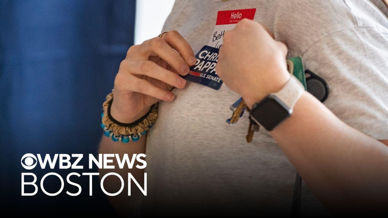 New Hampshire voters weigh in on Tuesday's Senate primary race