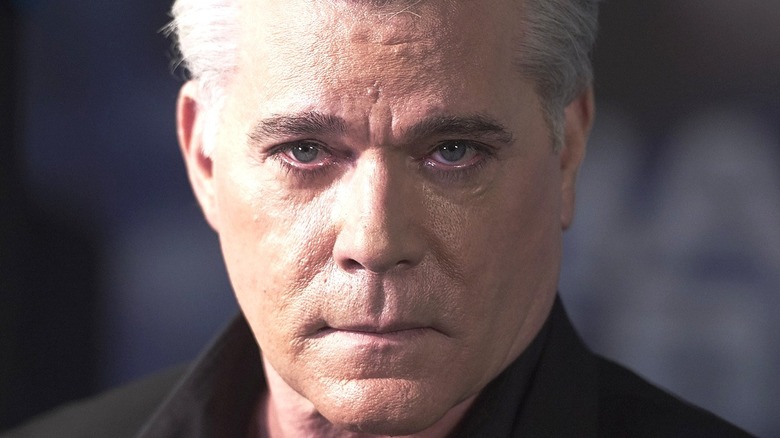 Ray Liotta voiced more animated characters than you probably realize