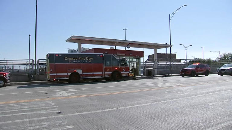 CTA rider jumps from Red Line train on South Side, dies, Chicago police say