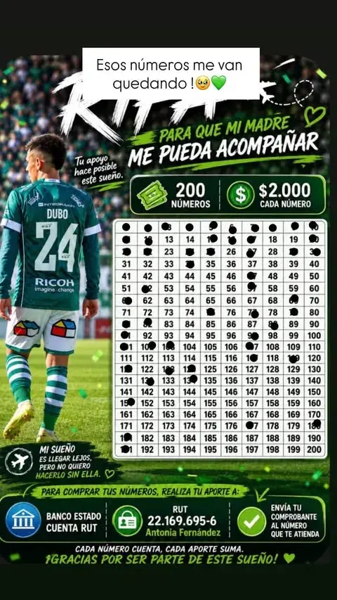 Figura de Santiago Wanderers lanza rifa para poder llevar a su madre a ...