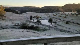 Rio Grande do Sul registra marcas de até -4,7°C após queda de neve; veja imagens