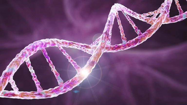 DNA from a human brain gene has turned up in a virus
