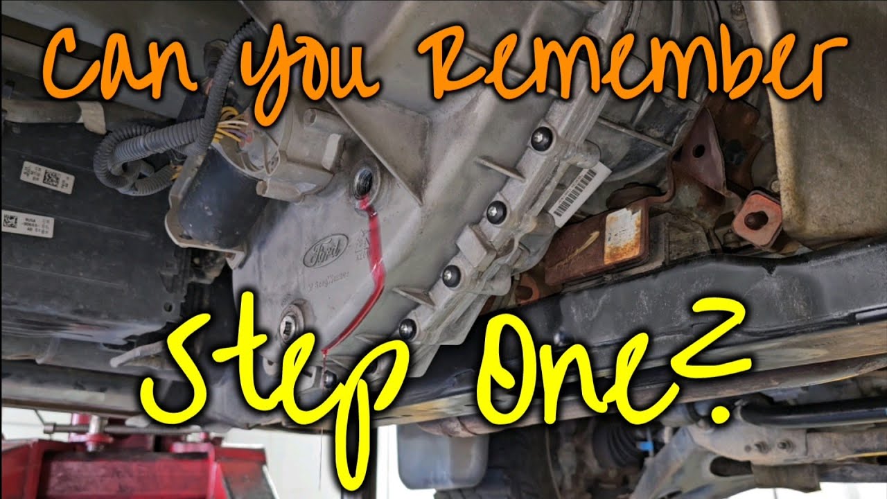 Back to basics with a transfer case and differential service