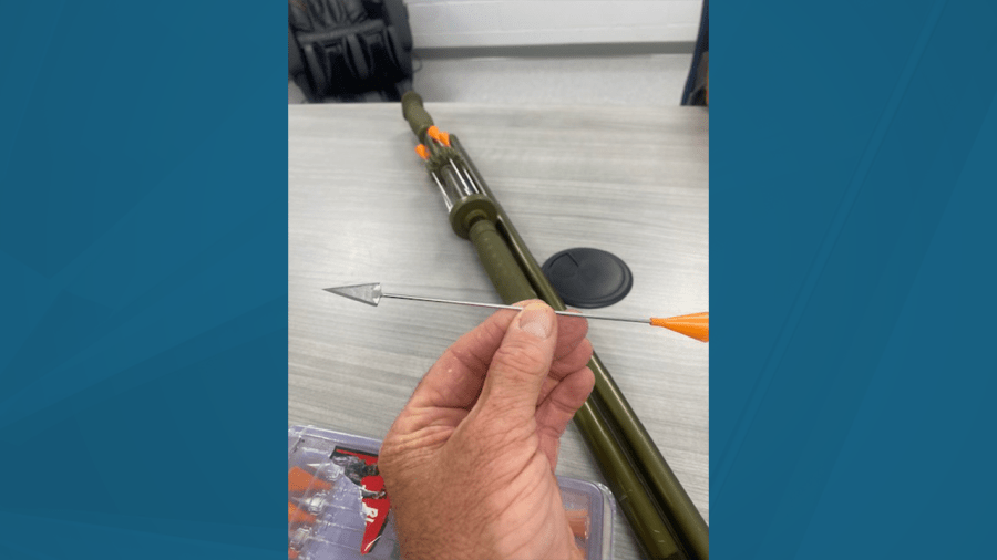 Charges pending after cats found shot with darts in Tennessee