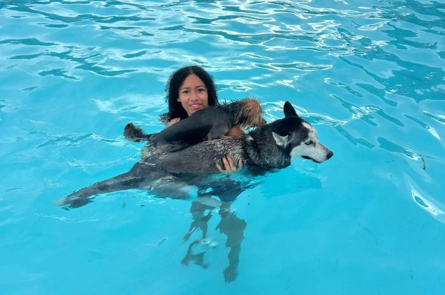Pueblo pups enjoy a pool day before winter closure