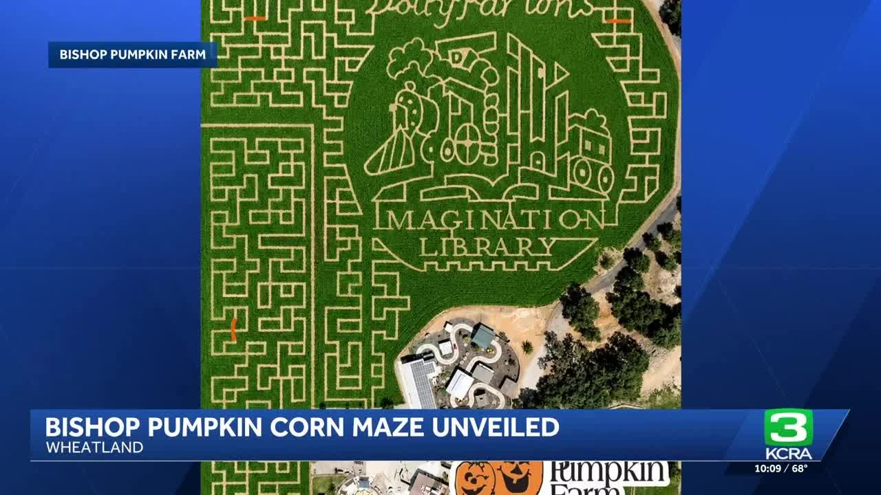Bishop Pumpkin Farm corn maze honors Dolly Parton