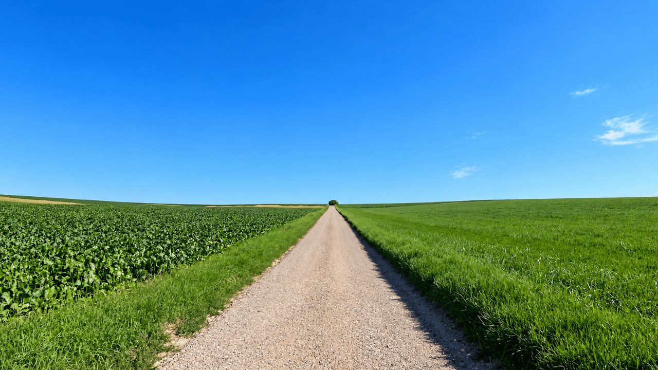 Waar leidt deze rustige weg door Zuid-Limburg naartoe?