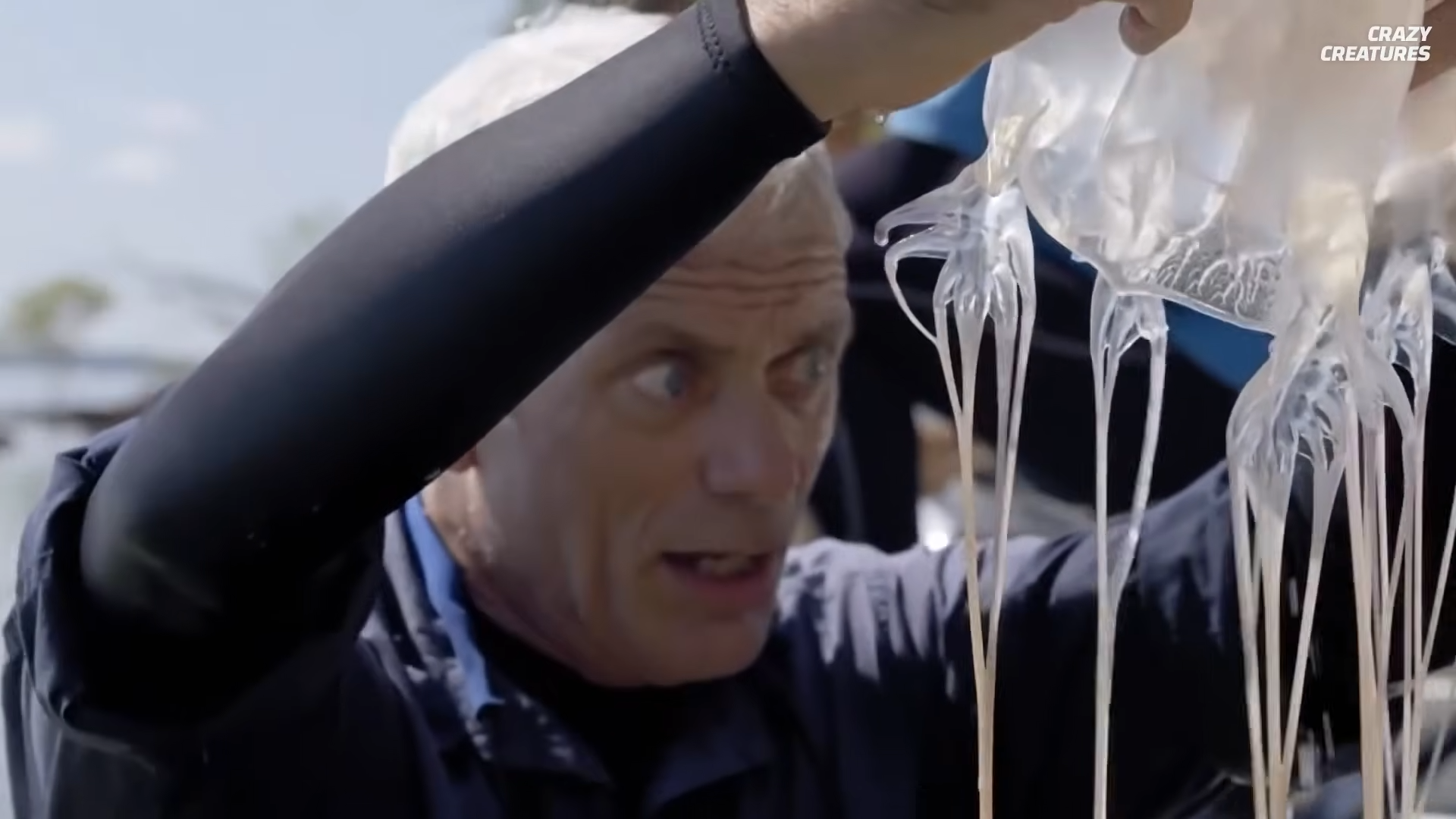 One box jellyfish has enough venom to kill 60 people in minutes