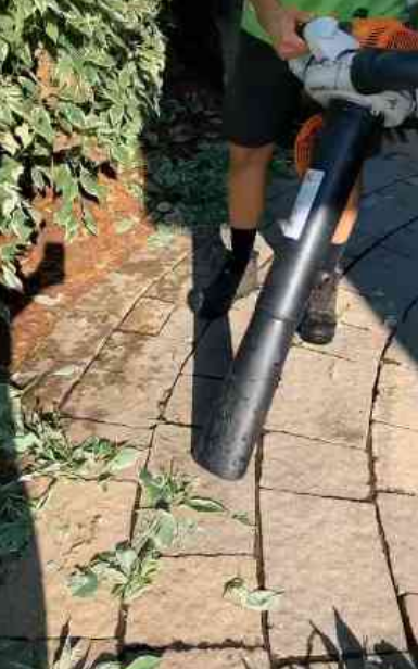Rake-free lawn cleanup – satisfying yard transformation!