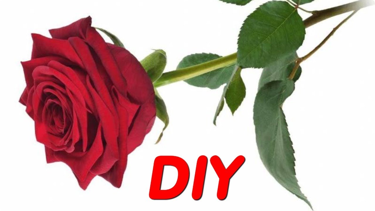 Comparing different rose designs made from crepe paper