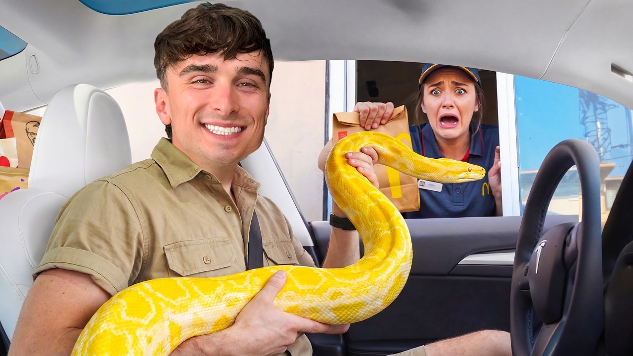 They took bigger and bigger snakes through drive-thrus - then one ...