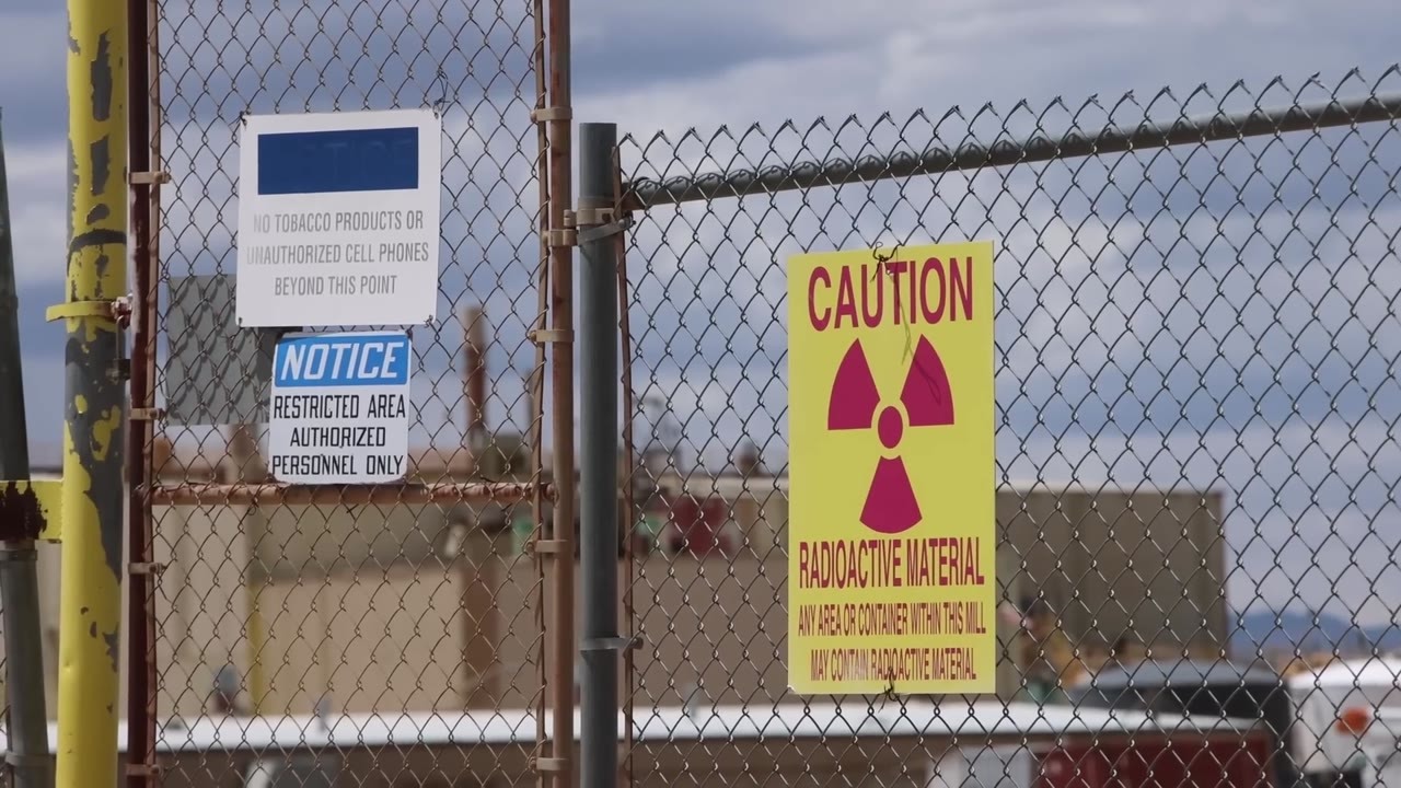 Scientists took blood from Chernobyl wolves... they weren't prepared ...