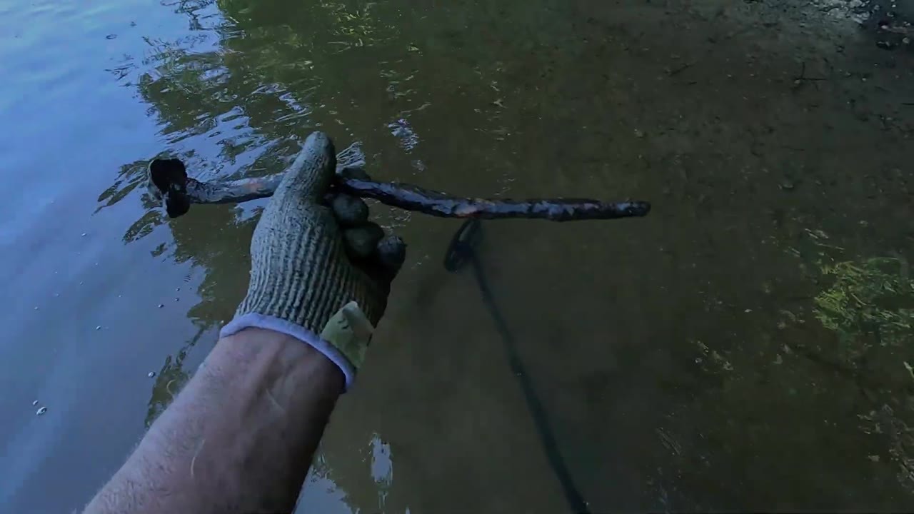 Millions of years in the riverbank - then he spotted the shark tooth