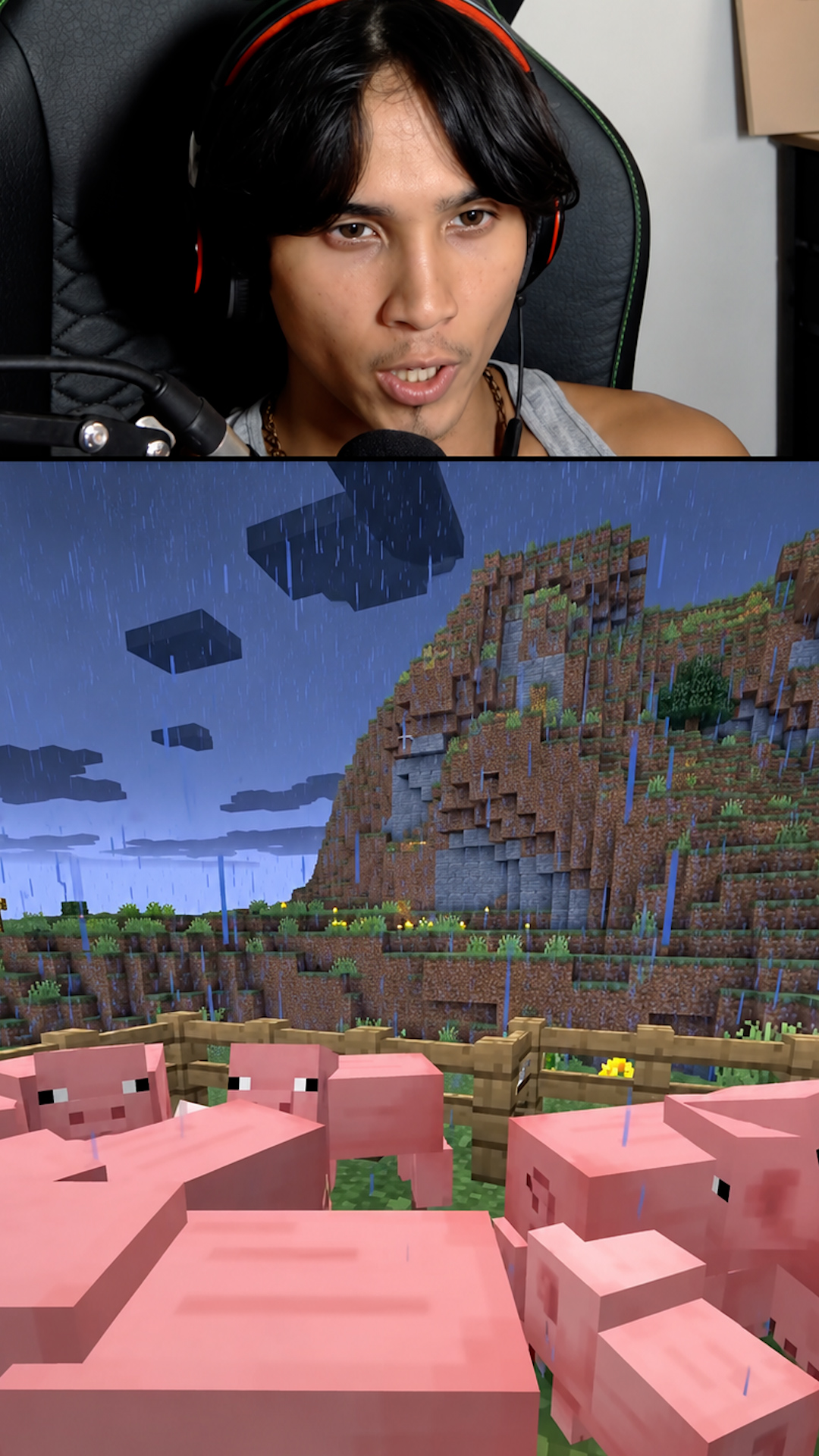 Minecraft gameplay showing large baby pig population