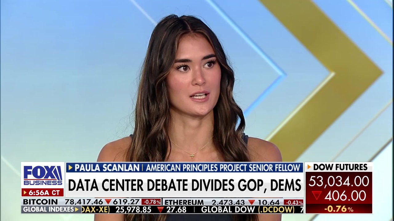 Data centers targeted by Democrats to counter Trump, Paula Scanlan warns