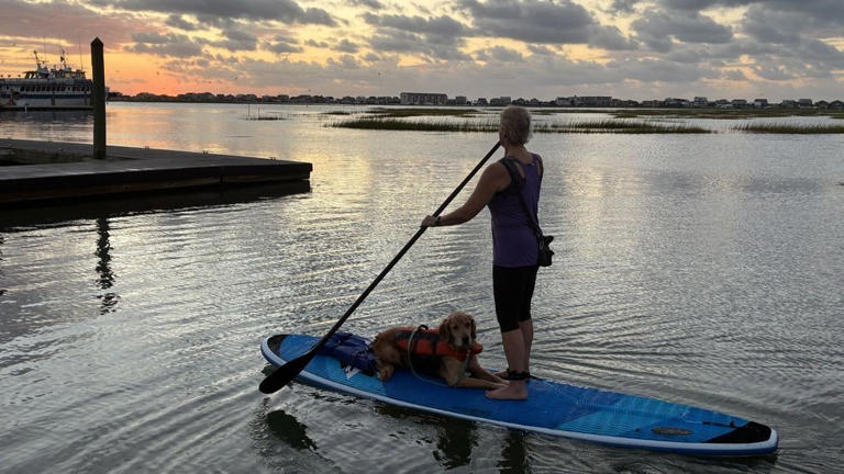 Paddle for PAALS fundraiser helps raise money for service dogs