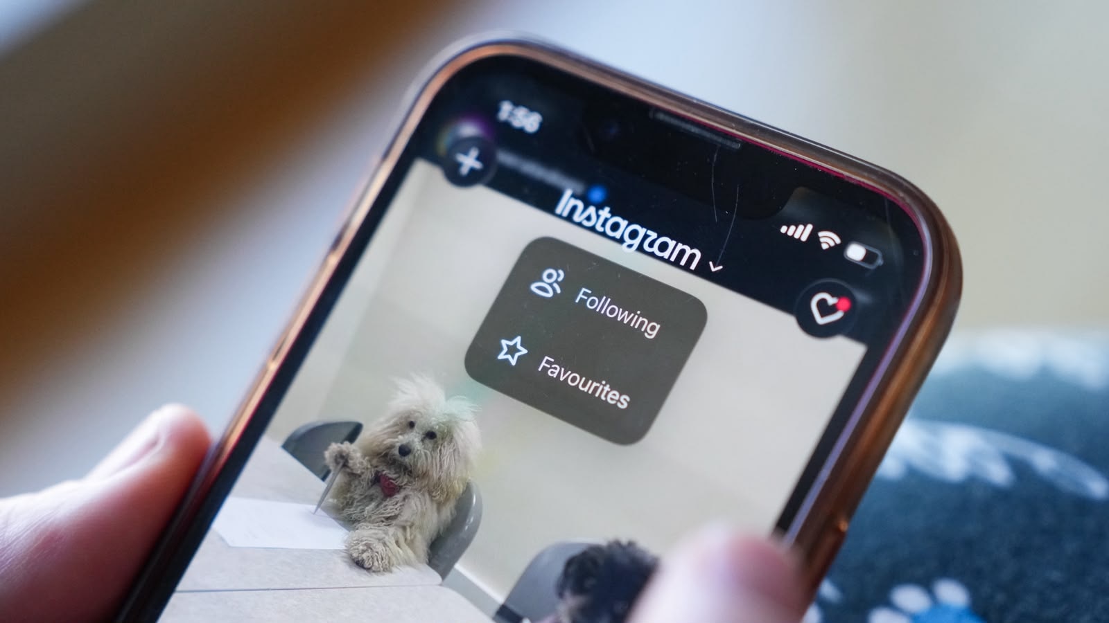 What could your social media feeds look like without the algorithm?