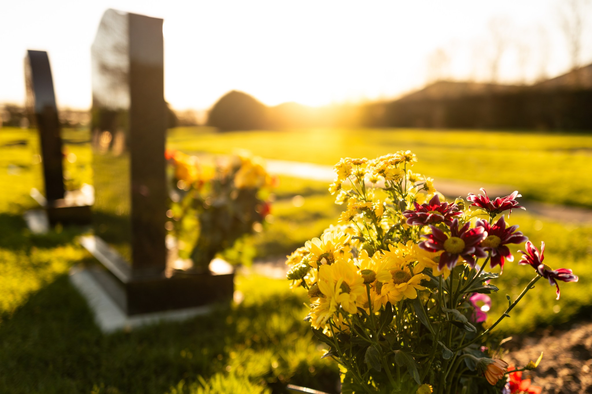 People can usually predict when they'll die—except for one caveat