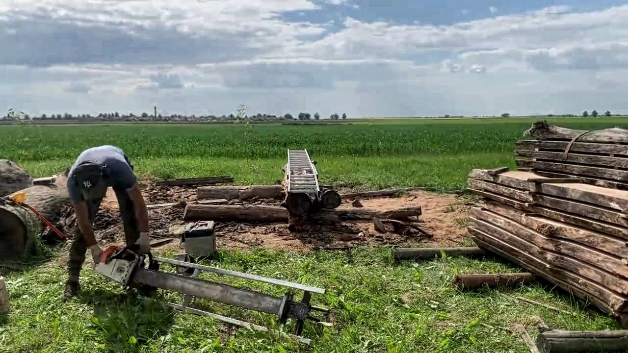 Old oak pushes the chainsaw mill to its breaking point before the final cut