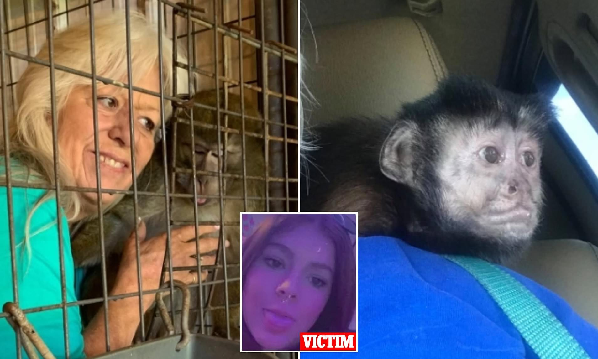 Foster mother accused of trading child for a monkey fully avoids jail time