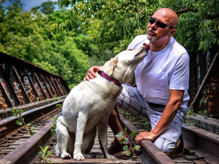 Mandel: After years together, handler loses custody of Toronto's first ...