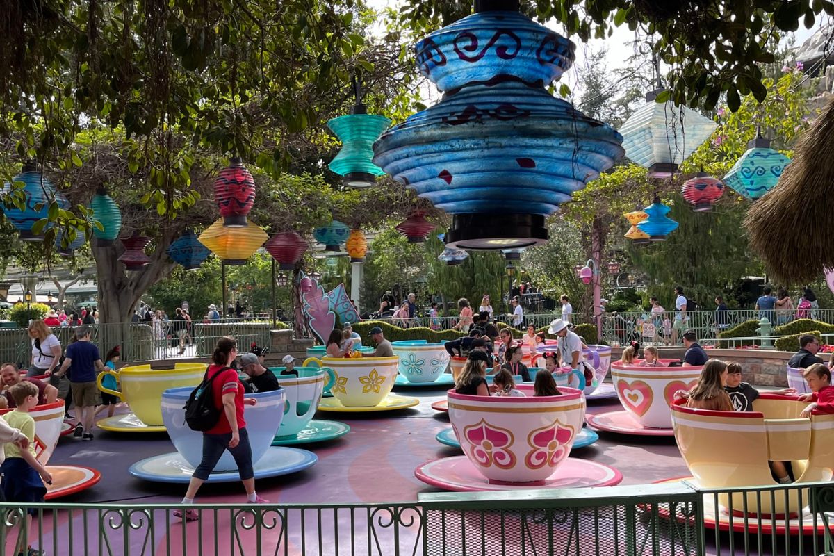 14 Disneyland rides you may not be able to ride in the rain