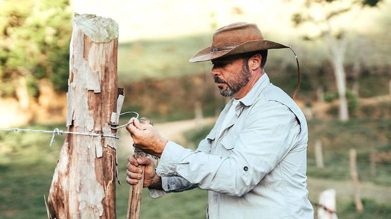 Cowboys used to rely on it — the simple yet powerful tool that's useful ...