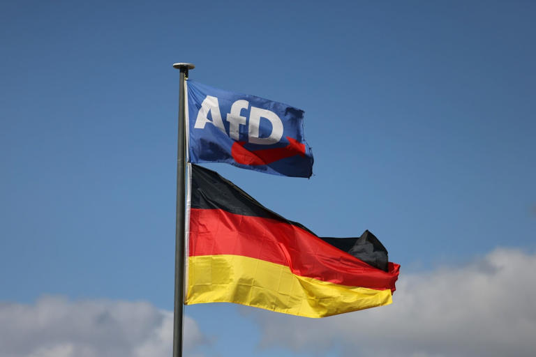 The AfD is trying to turn its first state government into a far-right ...