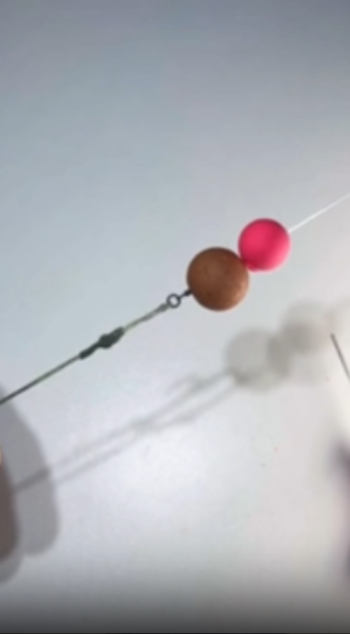 Smart carp rig ideas for memorable fishing adventures