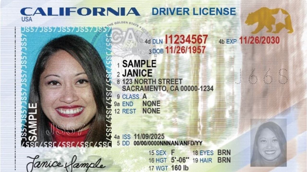 World Acceptance says 51,073 Texans’ Social Security and driver’s ...