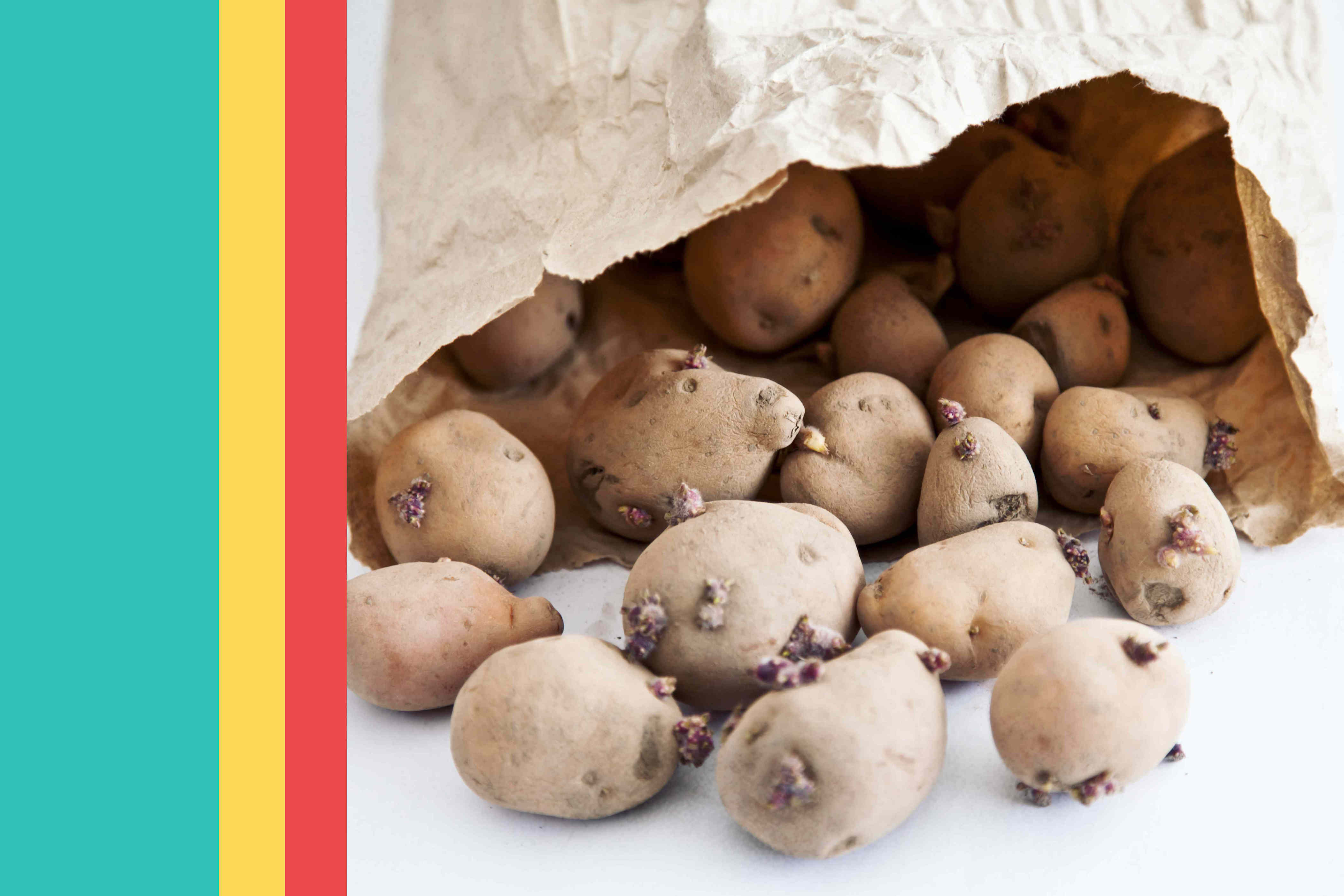 No more sprouted spuds—shoppers discovered the best way to store potatoes for up to 2 months