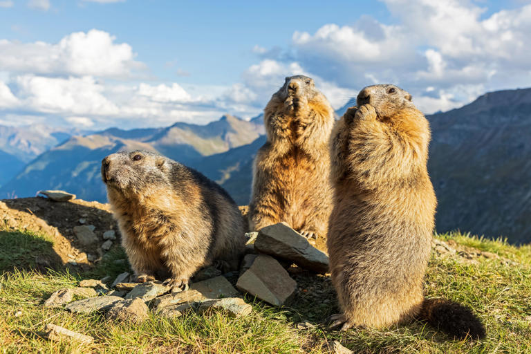 These common knowledge facts had people shook and I can't stop laughing