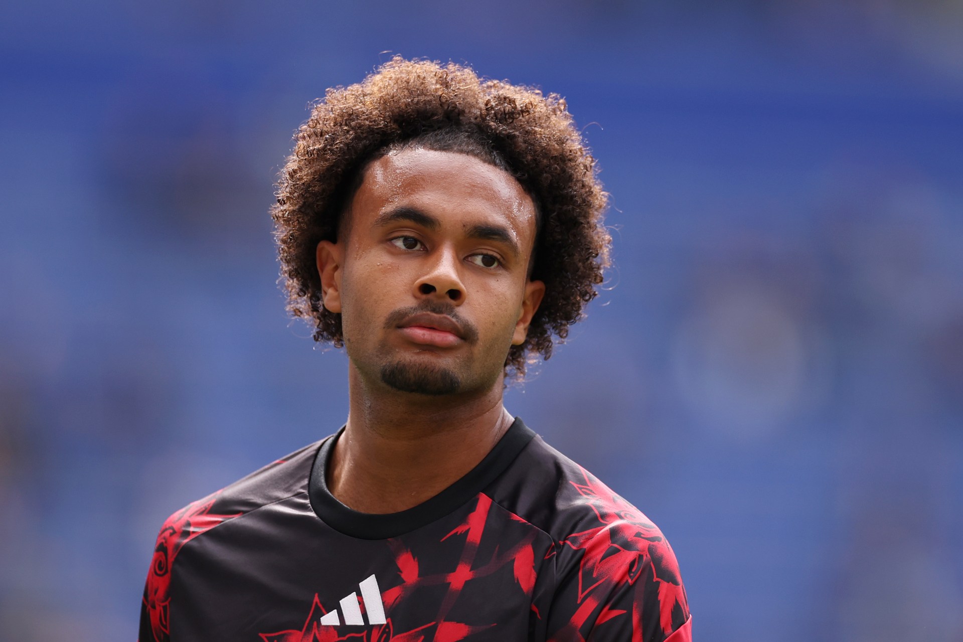 United have tried to sell Zirkzee the last two windows (Picture: Lewis Storey – Danehouse/Getty Images)