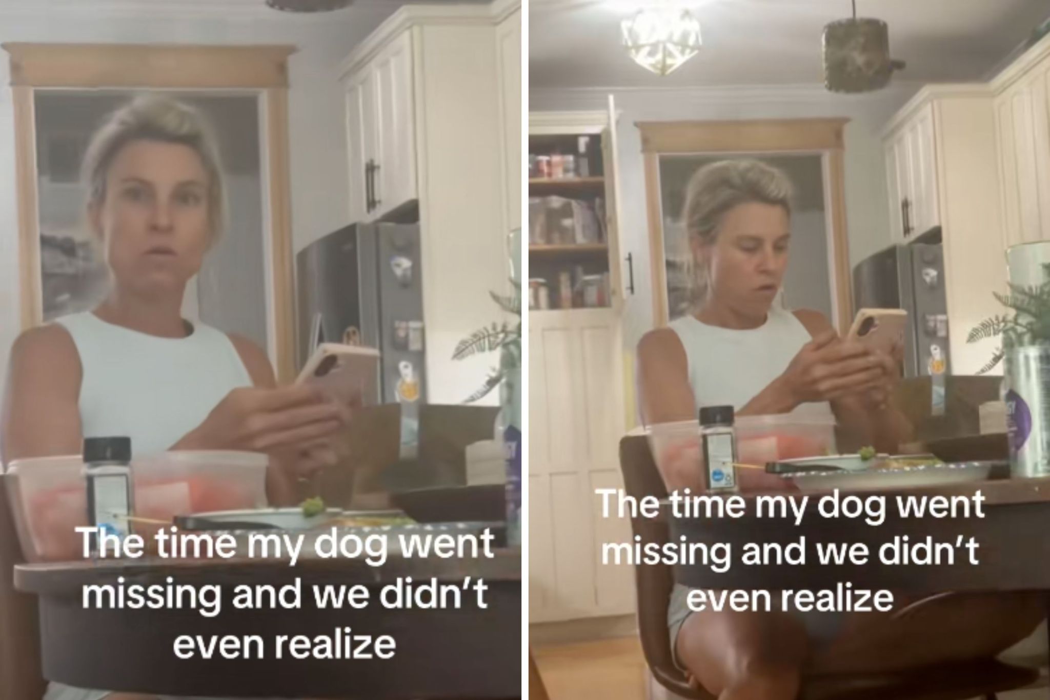 Family spot photo of found dog online, then they realize who's missing