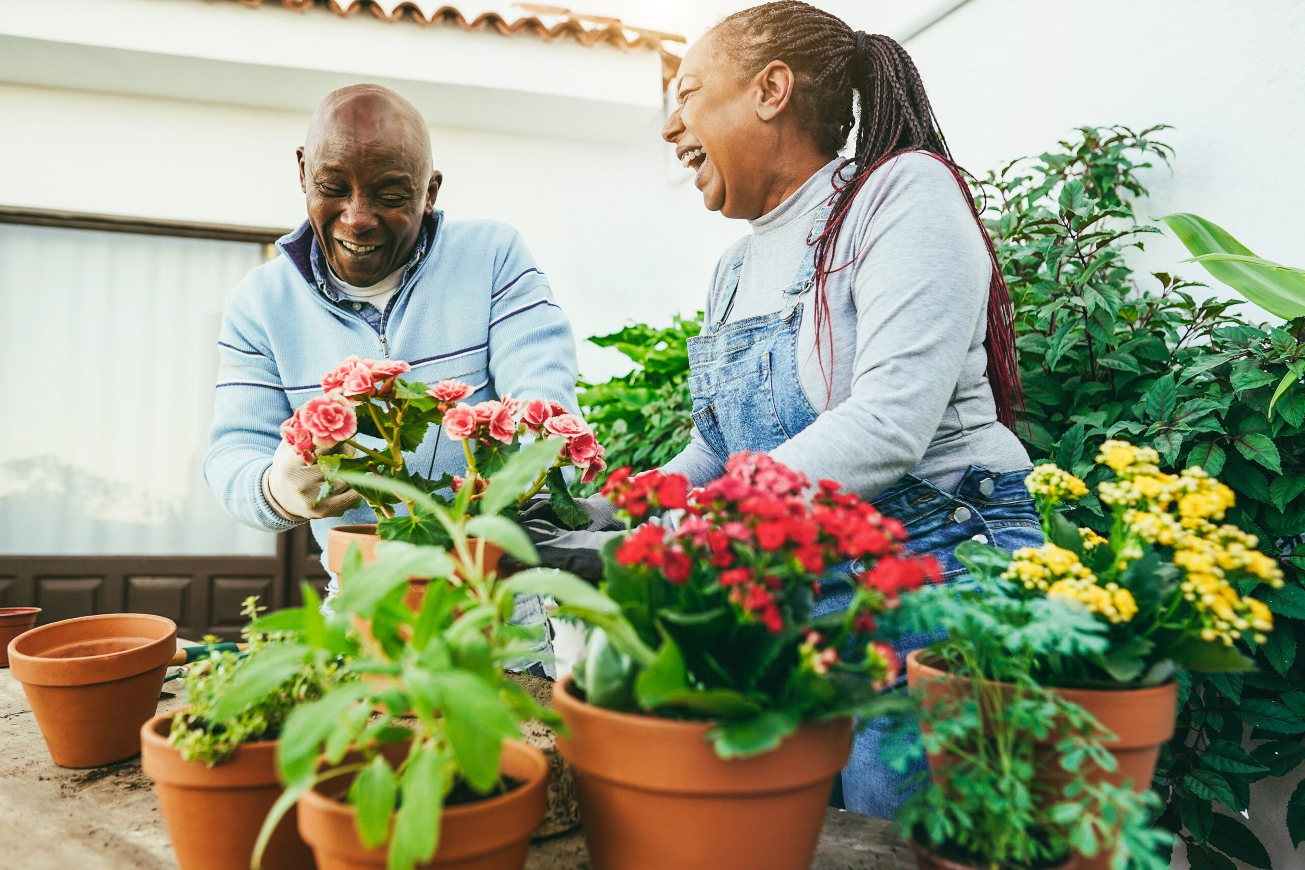 How to turn your home into its own longevity-focused ‘blue zone'