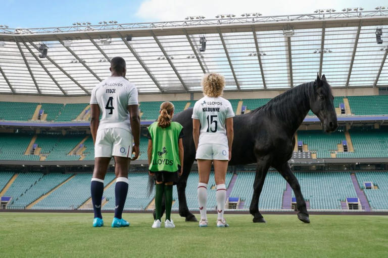 England rugby in first ever back-of-shirt deal with £5m a year Lloyds ...