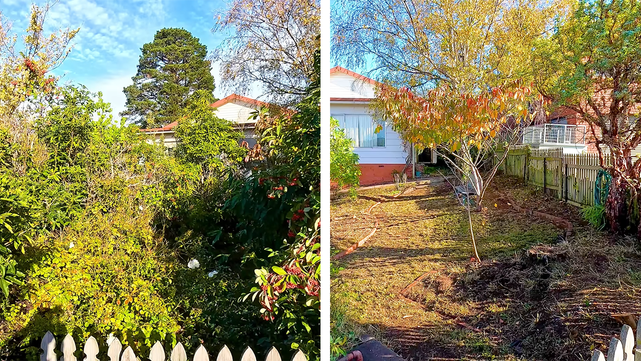 Massive garden transformation revealed!