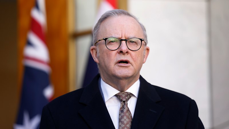 Senator claims PM’s office edited AI letter