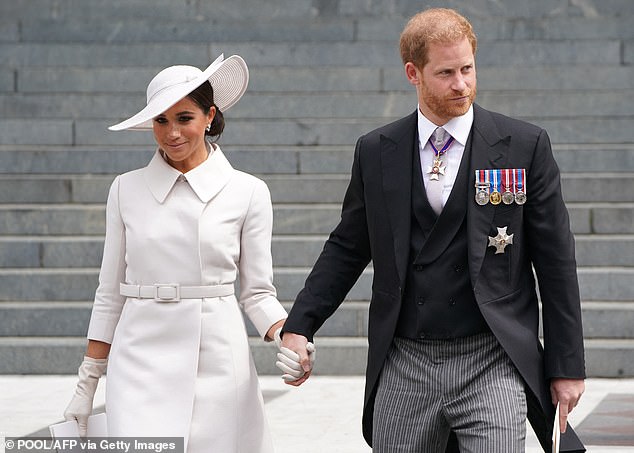 Report: Harry and Meghan hit out at king's 'private citizens' label