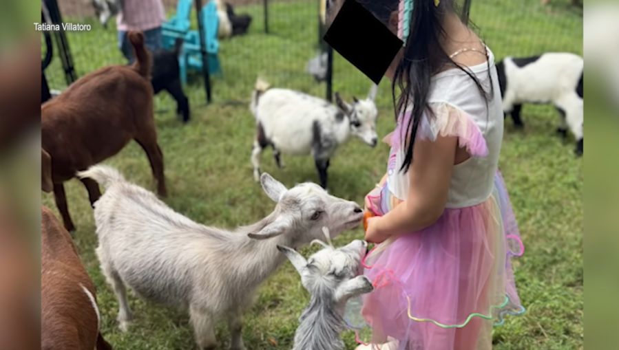 NC woman reacts after learning baby goats at mobile petting zoo had rabies