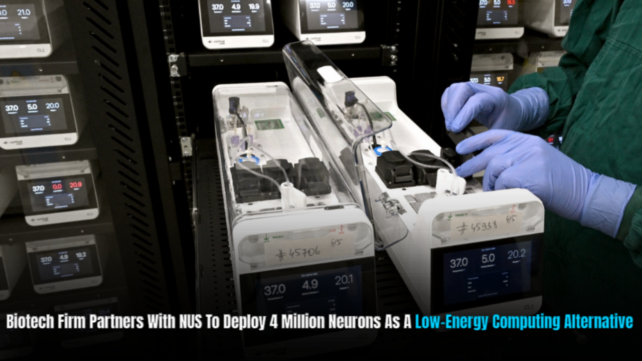 Singapore launches data center powered by living human neurons