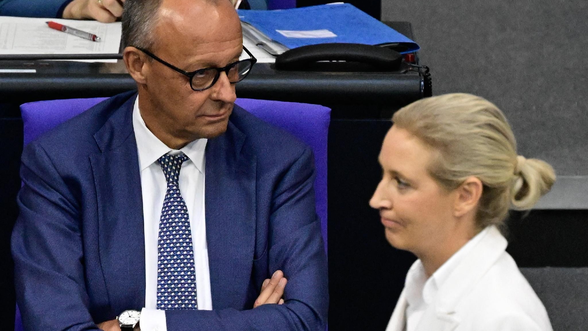 Trump si complimenta con AfD, Merz cancella la telefonata con il ...